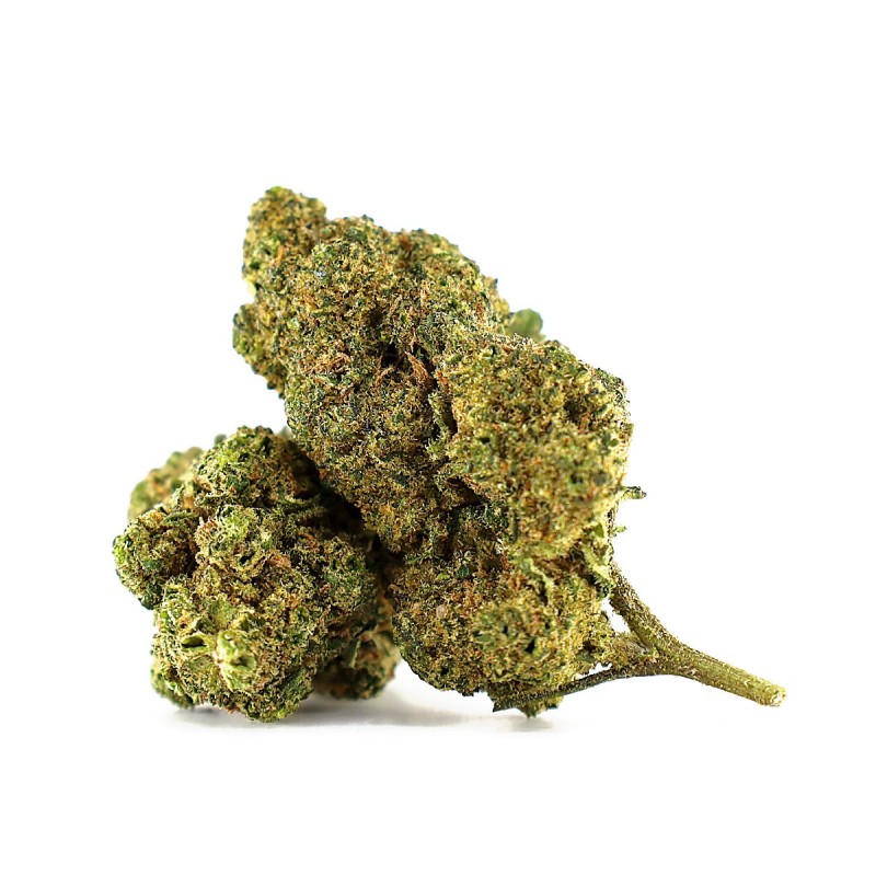WHITE CHOCO SKITTLEZ BLÜTE THCA