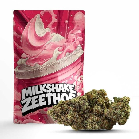 MILKSHAKE ZHEETOS BLÜTE THCA