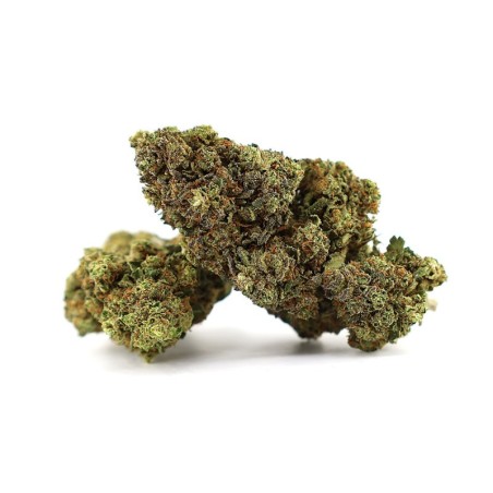 MILKSHAKE ZHEETOS BLÜTE THCA - alt