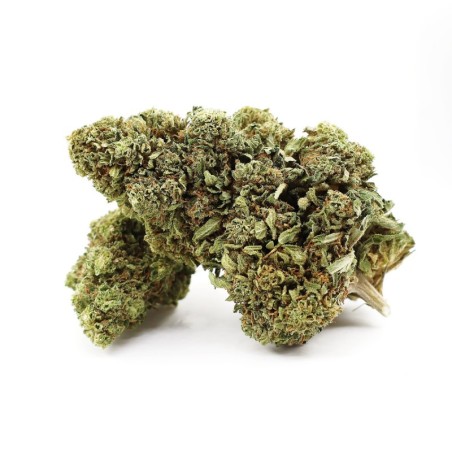 GRAPE ZENZU BLÜTE THCA - alt