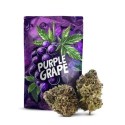 PURPLE GRAPE 30% FLOWER 10-OH-HHC, Gram: 1G