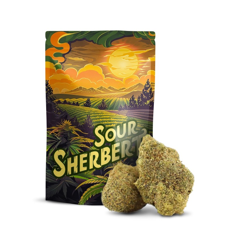 SOUR SHERBERT 30% BLÜTE 10-OH-HHC
