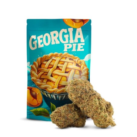 GEORGIA PIE BLÜTE THCA
