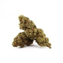 LEMON VUITTON OG 30% BLÜTEN 10-OH-HHC, Gram: 6G