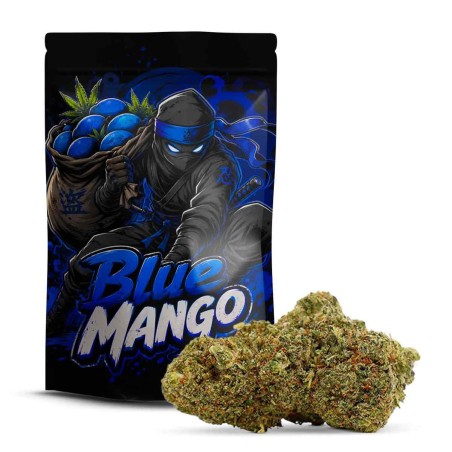BLUE MANGO 30% FLOWER 10-OH-HHC