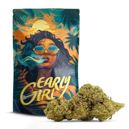 EARLY GIRL 30% FLOWER 10-OH-HHC