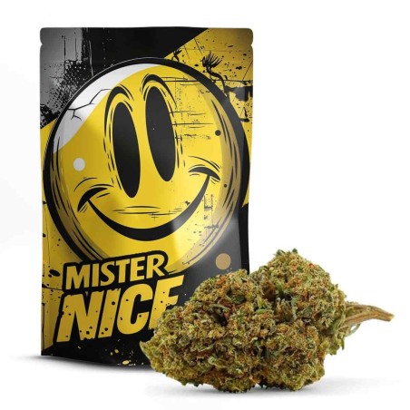 MR NICE 30% FLOWER 10-OH-HHC