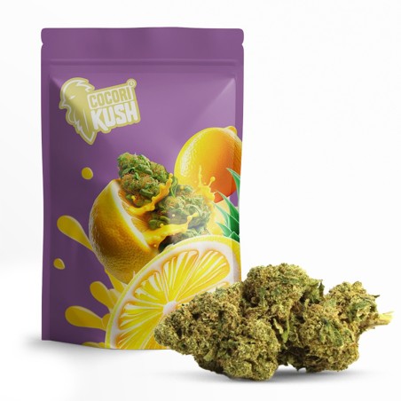 AMNESIA 50% BLÜTE CBD