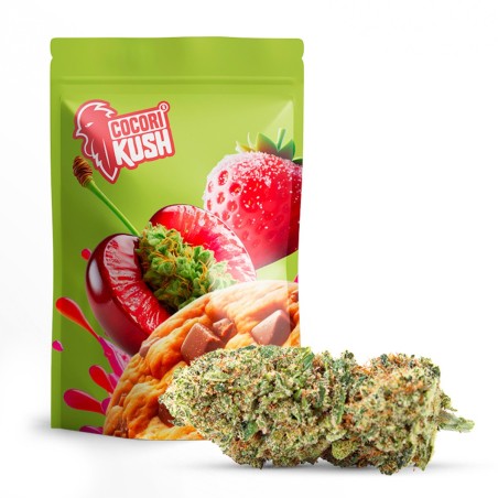 GMO COOKIES 50% BLÜTE CBD