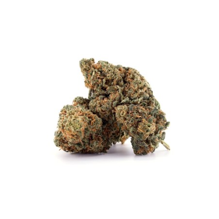 MASTER KUSH 50% DELTA-10 BLÜTE - alt