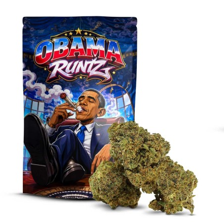 Obama Runtz DELTA 10 | Premium-Blüte mit fruchtigen Aromen | Sixty8