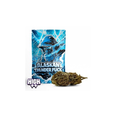 ALASKAN THUNDER FUCK 30% 10-OH+ | Starke Premium-Blüte
