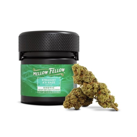 Straight A’s Haze Infused Mellow Fellow 3,5 g | Sixty8