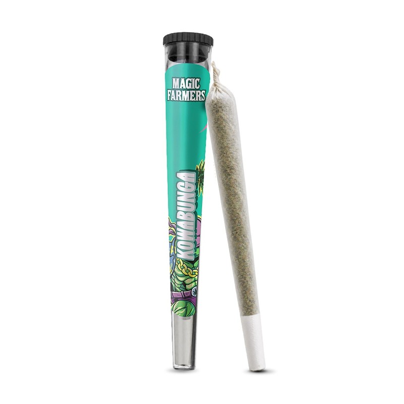 PREROLL KOWABUNGA MAGIC SAUCE | Sixty8