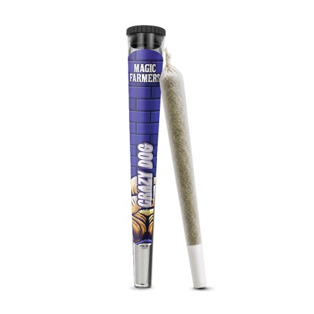 Preroll Crazy Dog Magic Sauce | Sixty8