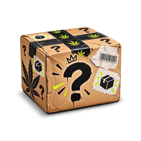 LOST PACKAGE