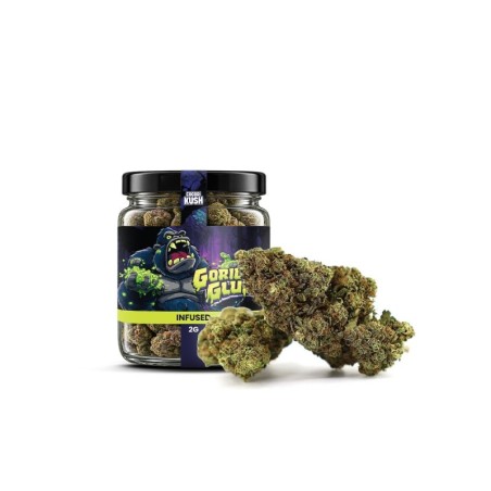 Gorilla Glue Delta-10: Stark & Intensiv | Sixty8