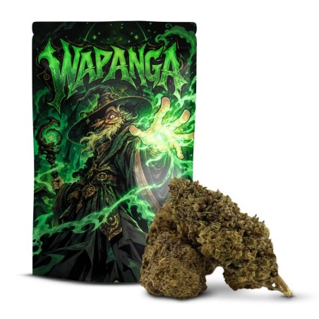Wapanga Delta-10 50%: Die Blüte, die knallt | Sixty8