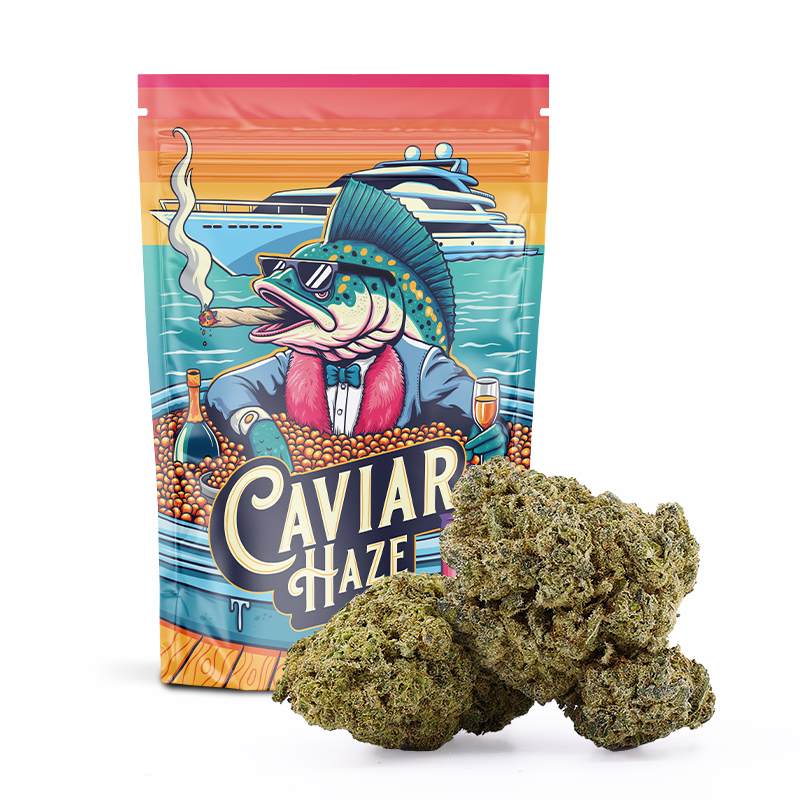 Fleurs de Caviar Haze 10% THC-P (1g-100g)