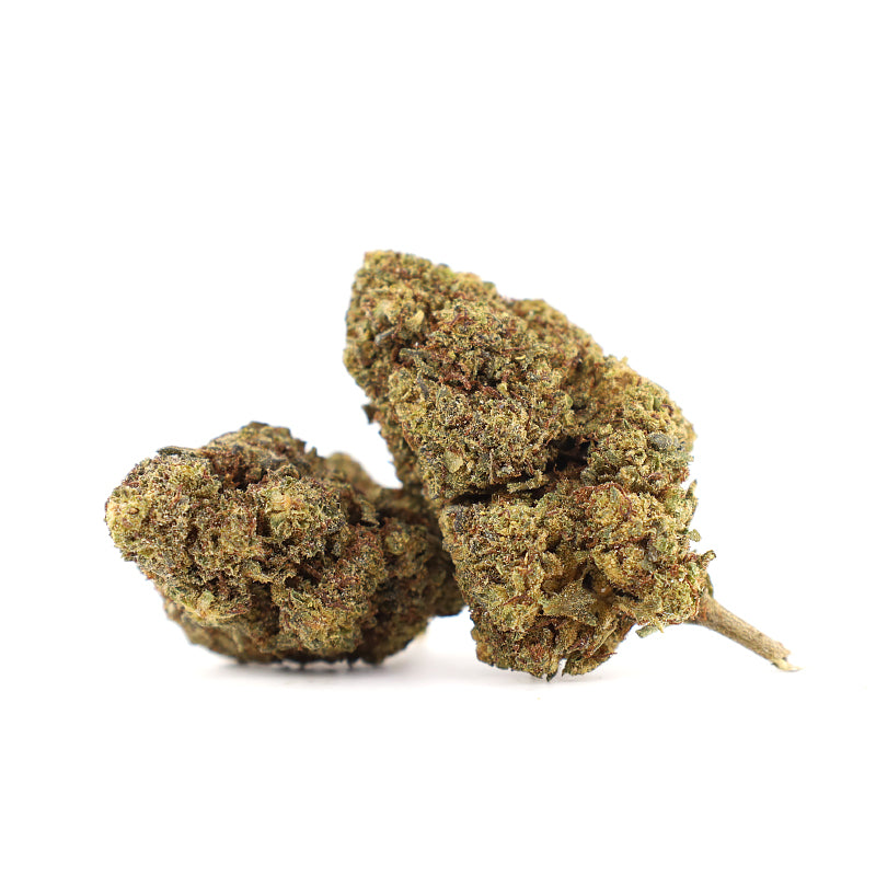 Fleurs de Mimosa 30% 10-OH (1g-100g)