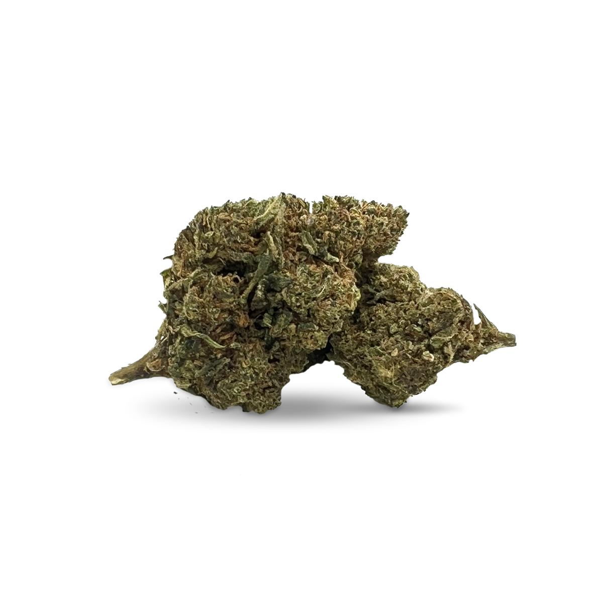 Fleurs de Mimosa 10% 10-OH HHC (1g-100g)