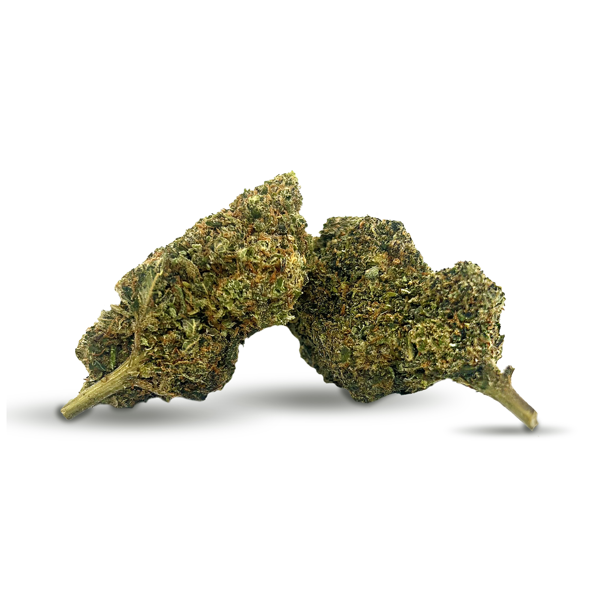 Fleurs Mr. Nice 10% 10-OH HHC (1g-100g)