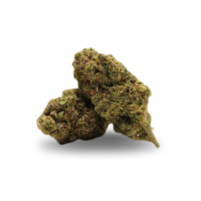 Fleurs de Plutonium Haze 10% THCJD (1g-100g)