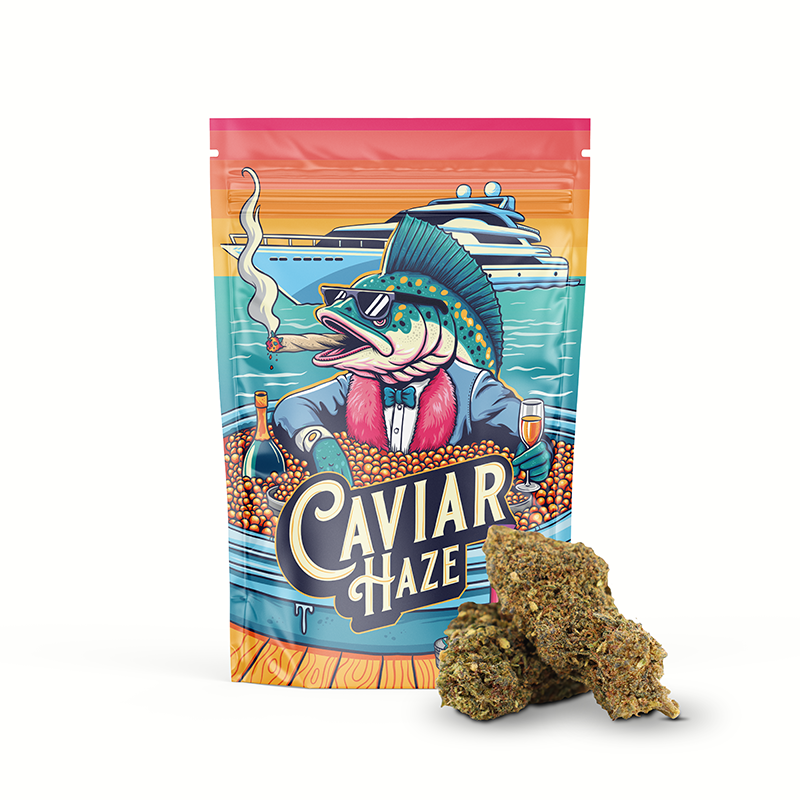 Caviar Haze 30% Fleurs MAGIC SAUCE 1g-100g)