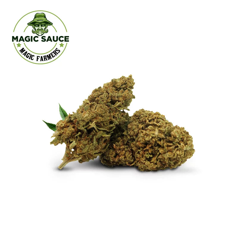 Crazy Dog Magic Sauce 10% THC-P flowers (1g-100g)