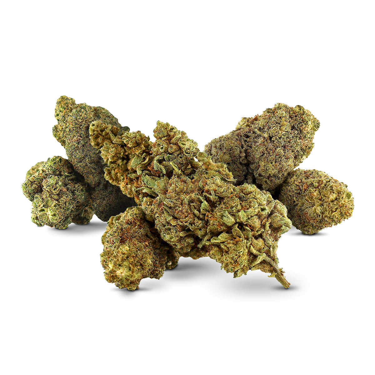 DESTOCK MIX BLÜTE MAGIC SAUCE