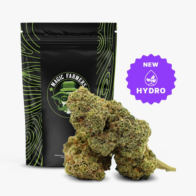 Gaz Candy 36% THCA Hydro Blüten