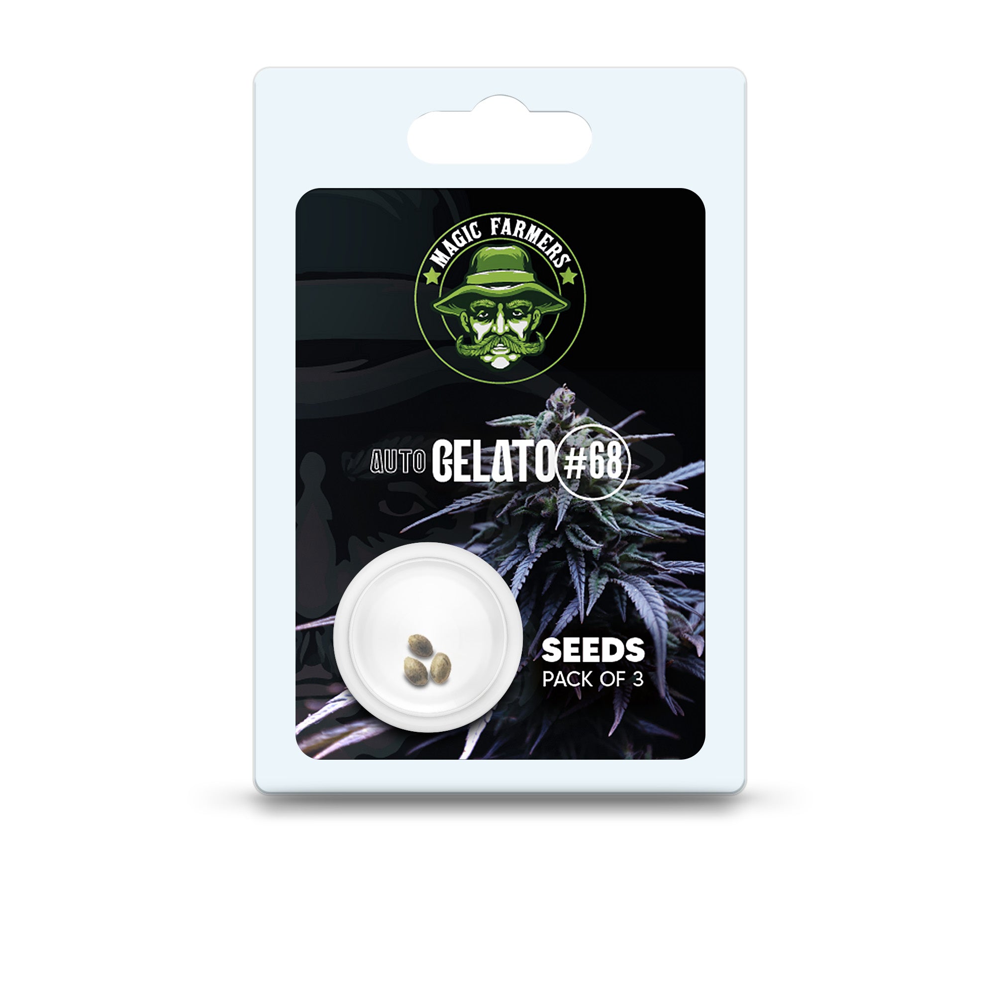 Graines de cannabis Gelato #68 (Auto) 3 pcs.