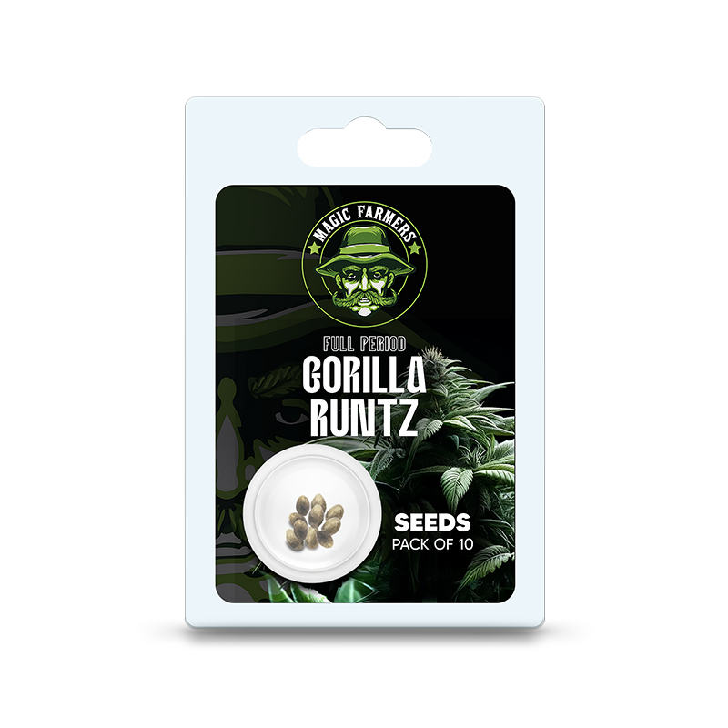 Cannabis Gorilla Runtz (Auto) 10 pcs.