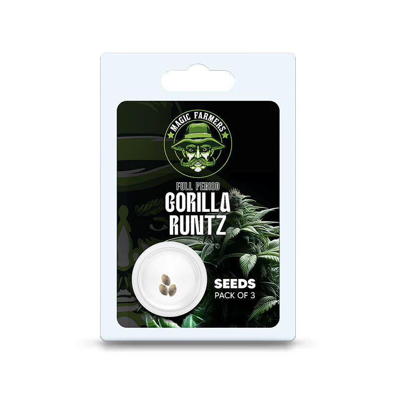 Cannabis Samen Gorilla Runtz (3-10 Stk.)