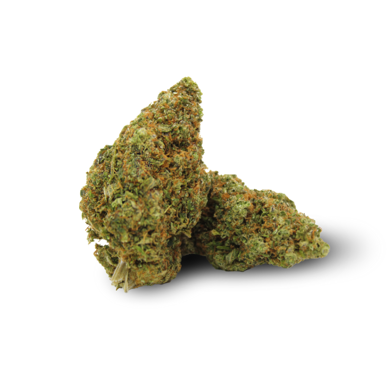 Gorilla Cookies 10% fleurs de THC-P (1g-100g)