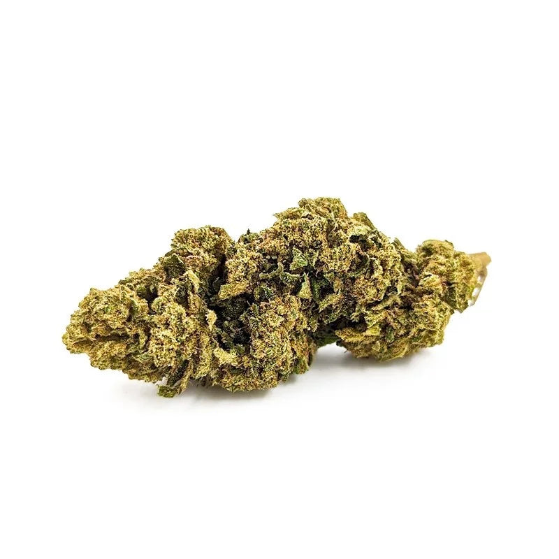 Fleurs de CBD Tropical Punch 12% (1g-100g)