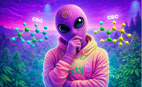 CBG vs. CBC: Was sind die Unterschiede?